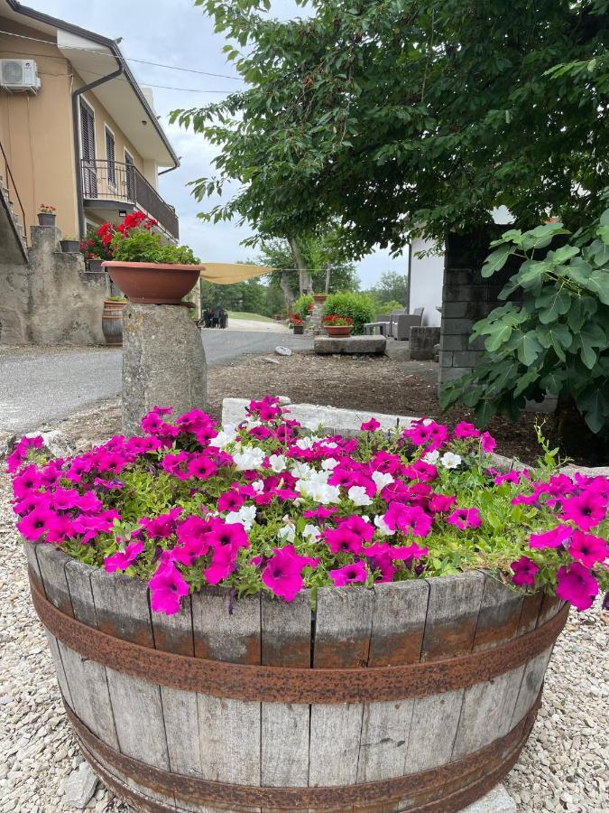 B&B Relais Aeclanum Mirabella Eclano Экстерьер фото